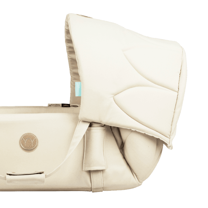 Canopy for SleepCarrier