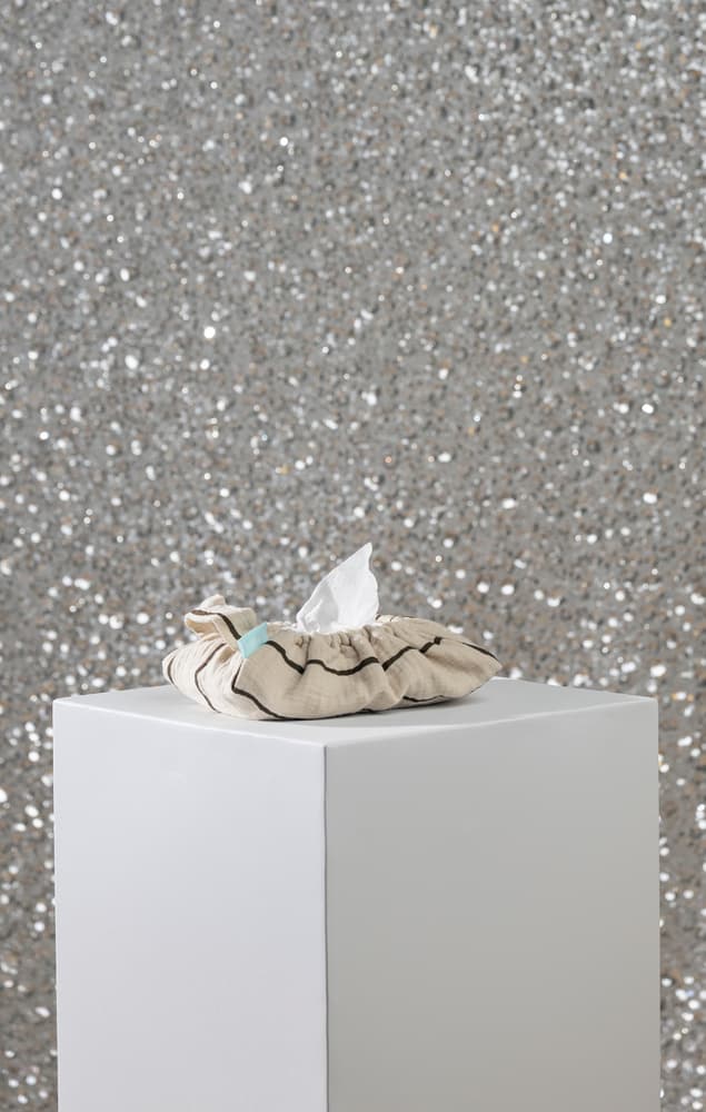 Kosteuspyyhkeensuojus